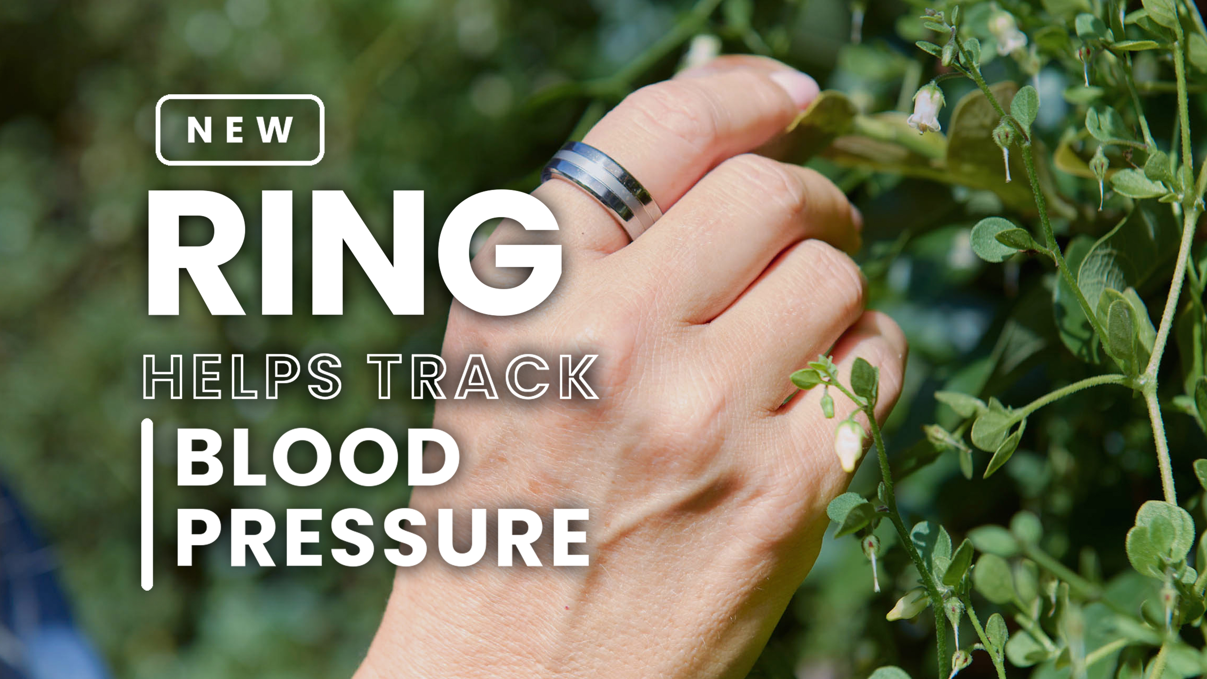 Signal Ring Offers a New Way to Track Blood Pressure